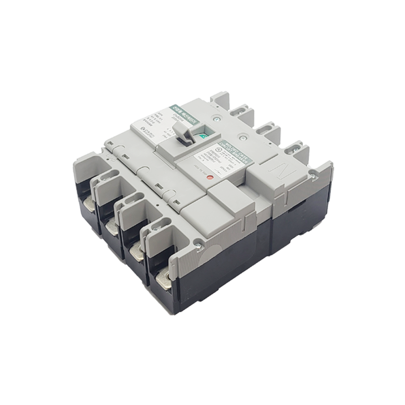 DsB204